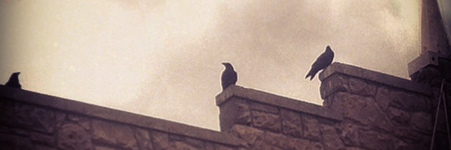 Reverend_Teabag's profile banner image