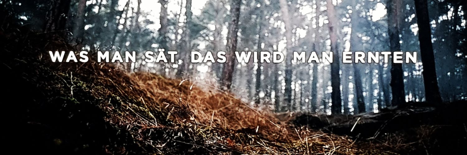 SwampNymph's profile banner image