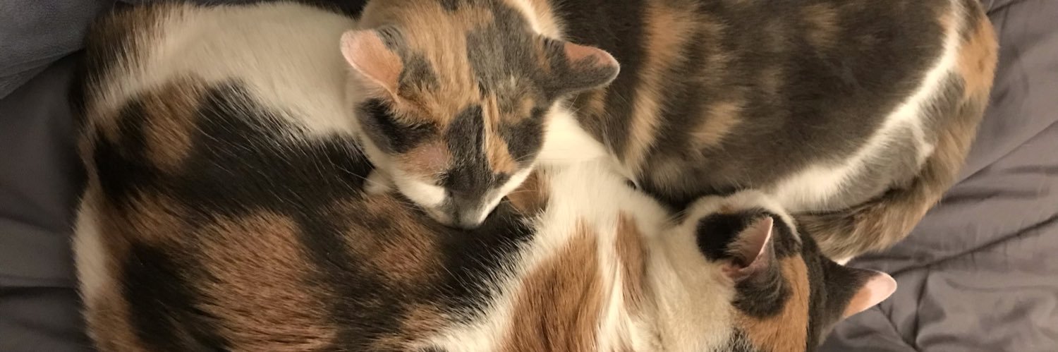 BCat415's profile banner image