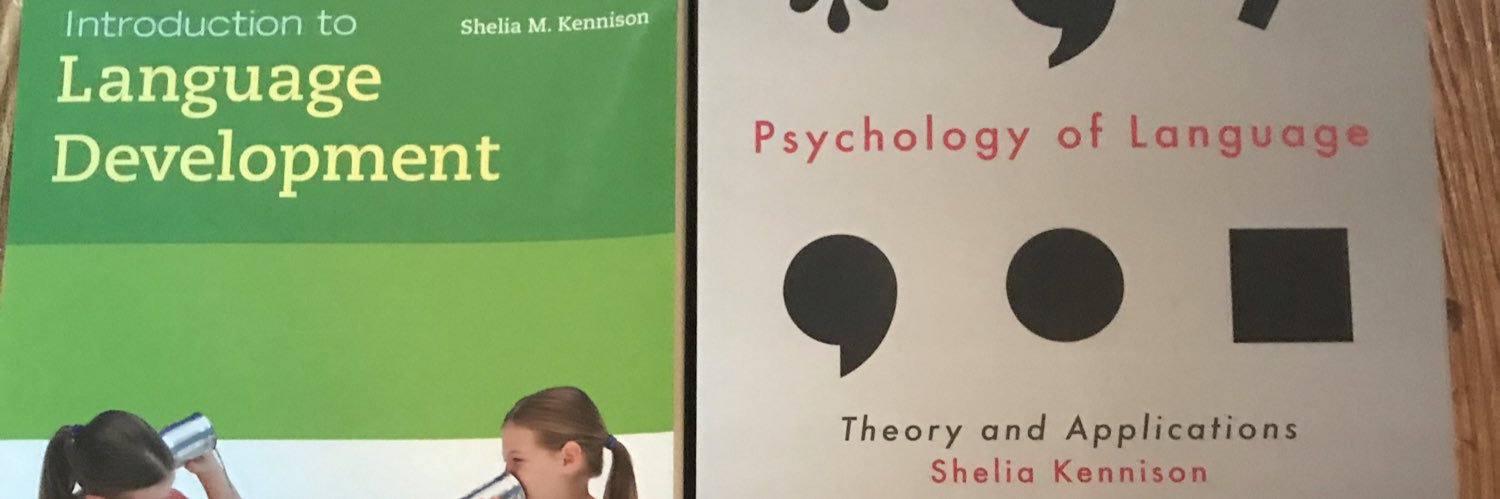 skennison's profile banner image