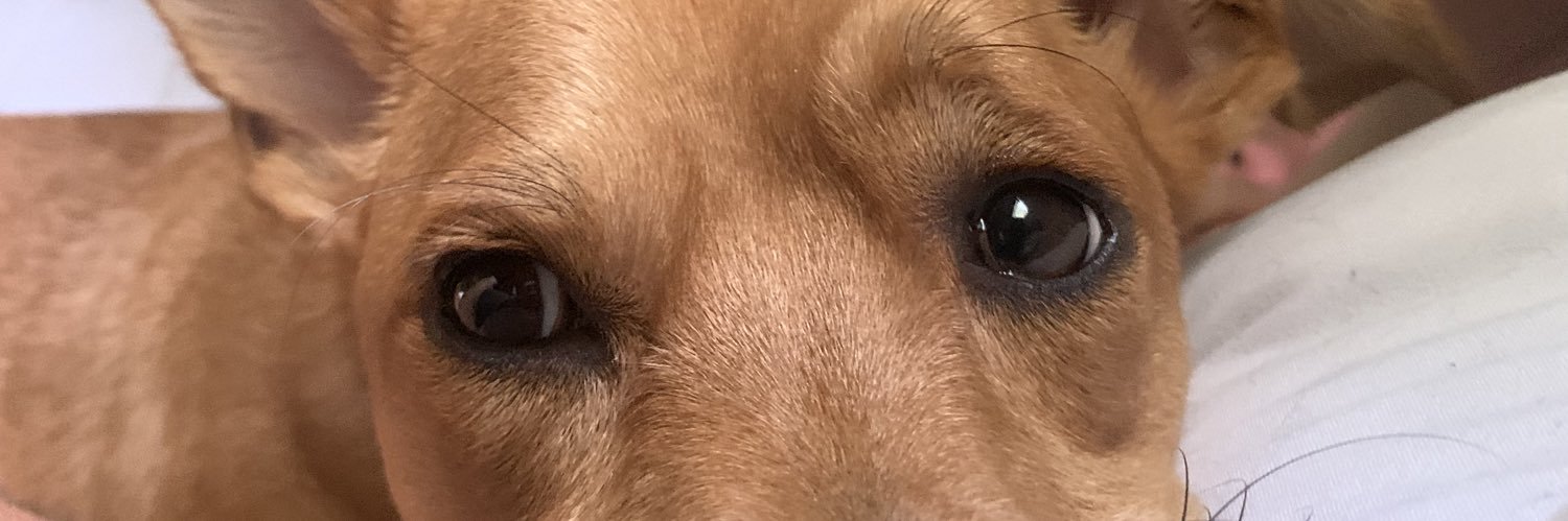 Carlos Acevedo banner