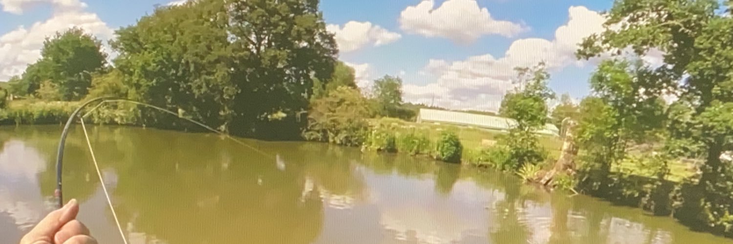 Steve Plowman banner