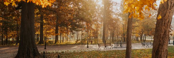 miamiuniversity Profile Banner