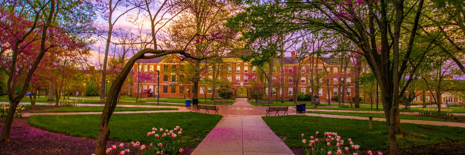 Miami University banner