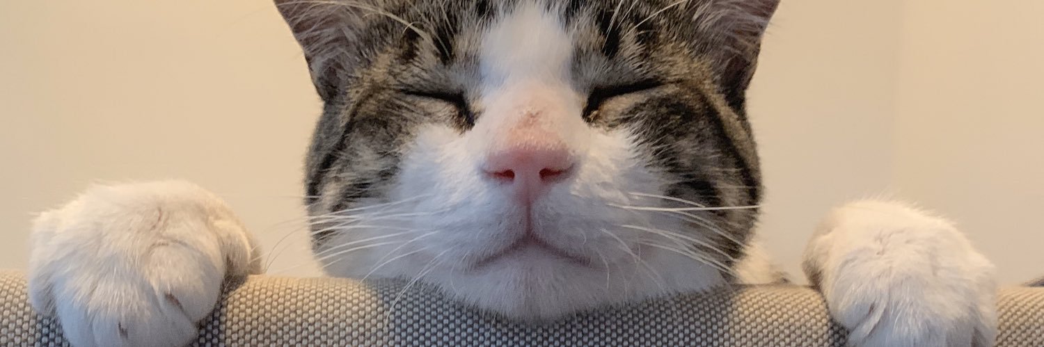 DylanSByrd's profile banner image