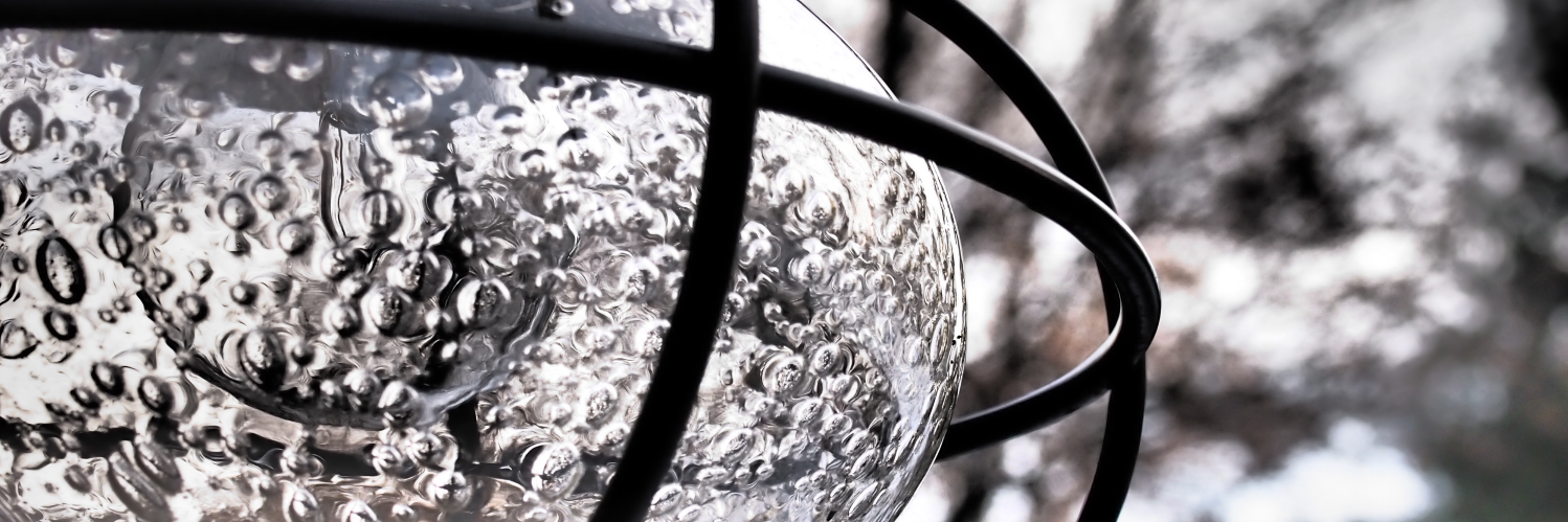 d_n_g_'s profile banner image