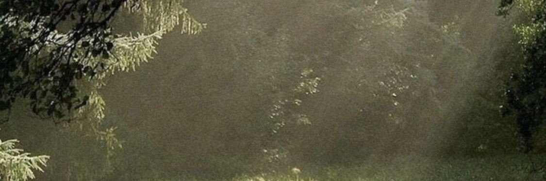 needybreakup's profile banner image