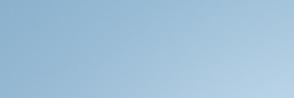 loiol banner