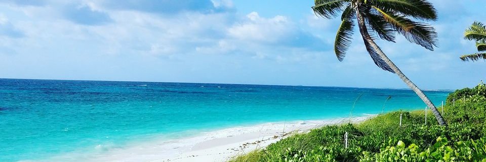 Adam C. 🇧🇸 banner
