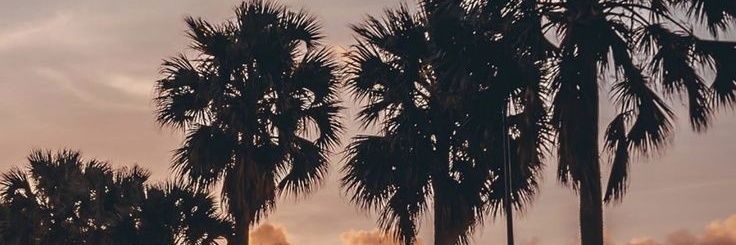Luife_24's profile banner image