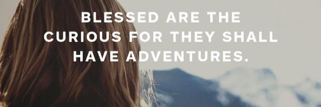 hannahvanvan's profile banner image