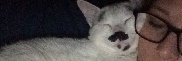LeahJames01's profile banner image