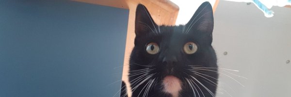 DolanDark Profile Banner