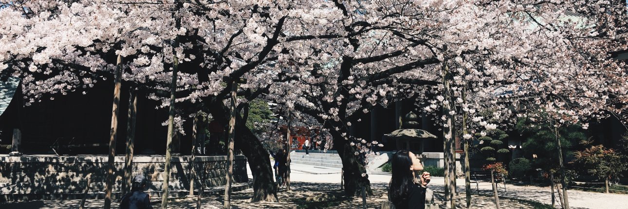 JapanStressFree's profile banner image