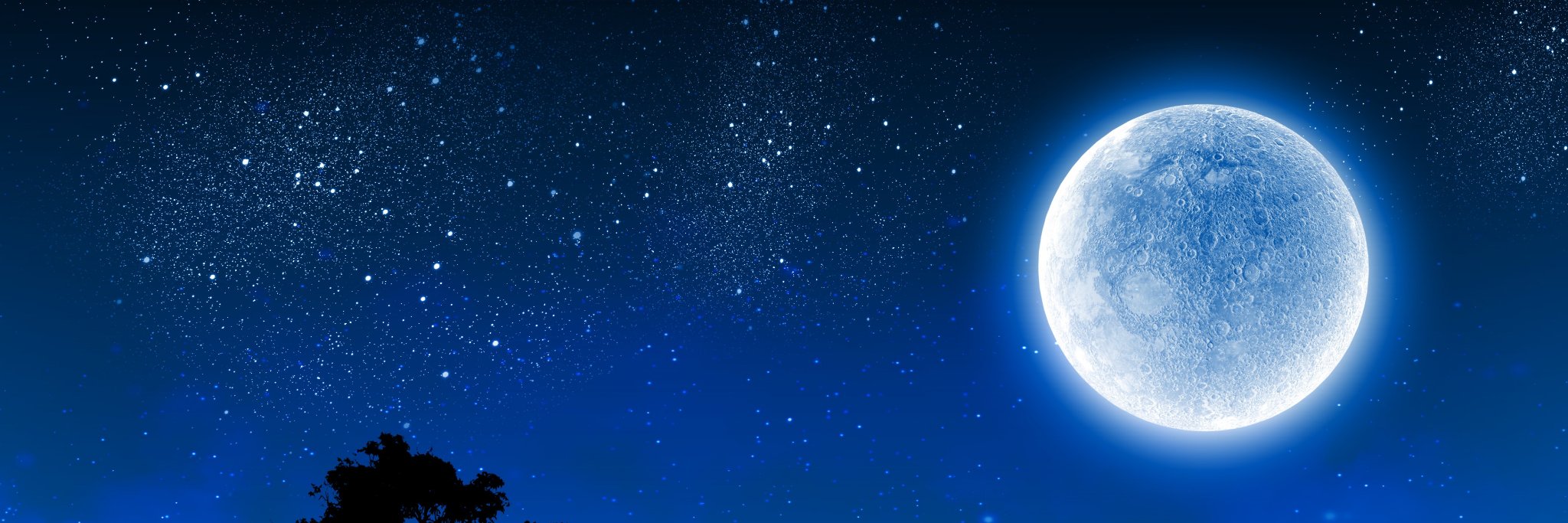 LauraEmerson's profile banner image