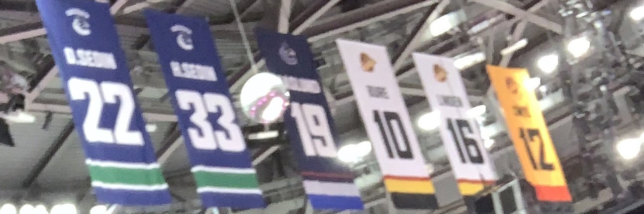 lindenfan16 banner
