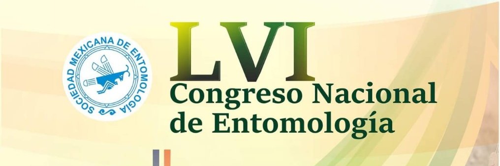 SocMexEntomolog's profile banner image