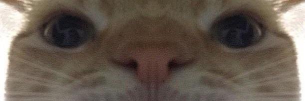 sidney_odom's profile banner image
