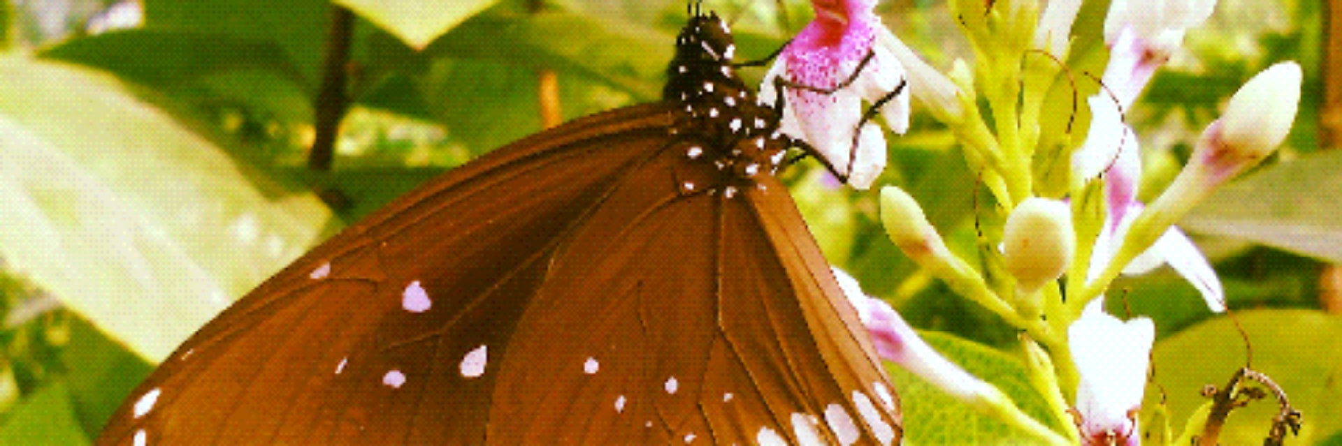 Deepak25R's profile banner image