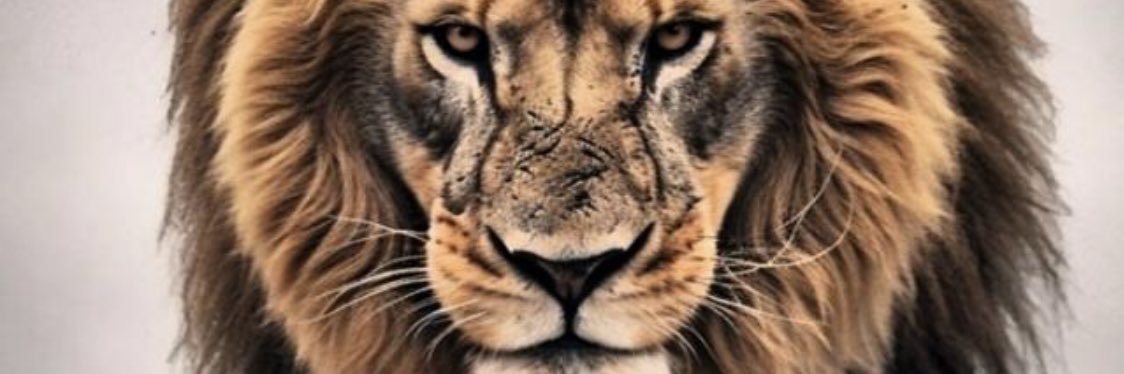 Mattheus_Miller's profile banner image