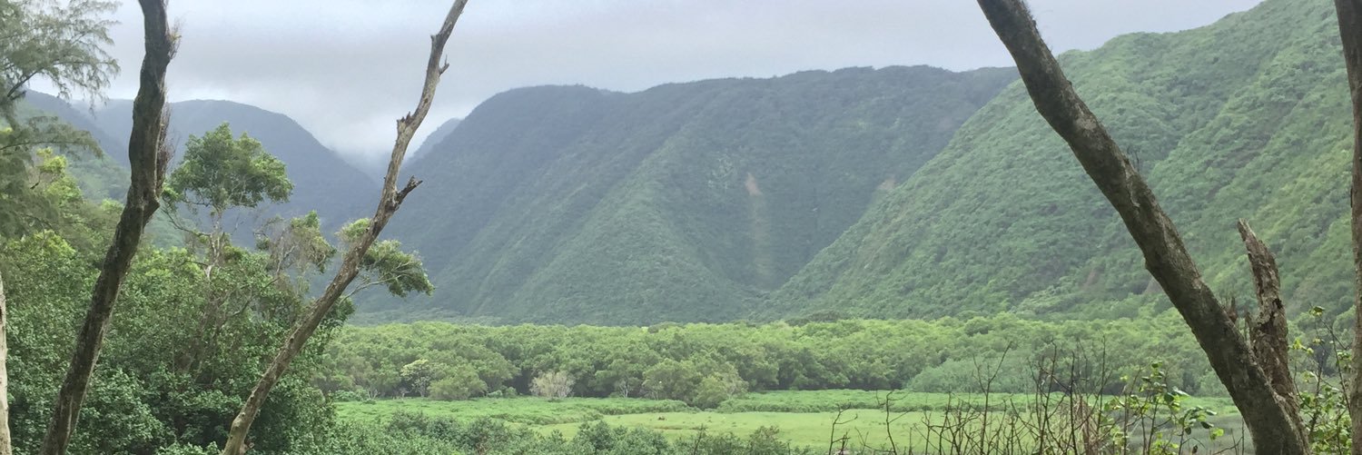 MikeHoff0017's profile banner image