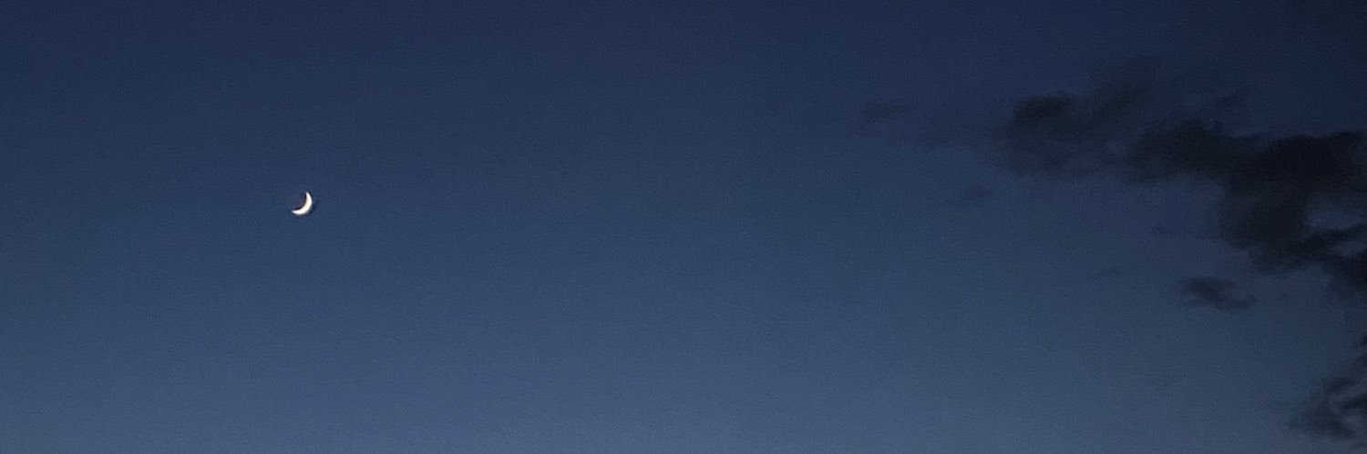 Dilimoas's profile banner image