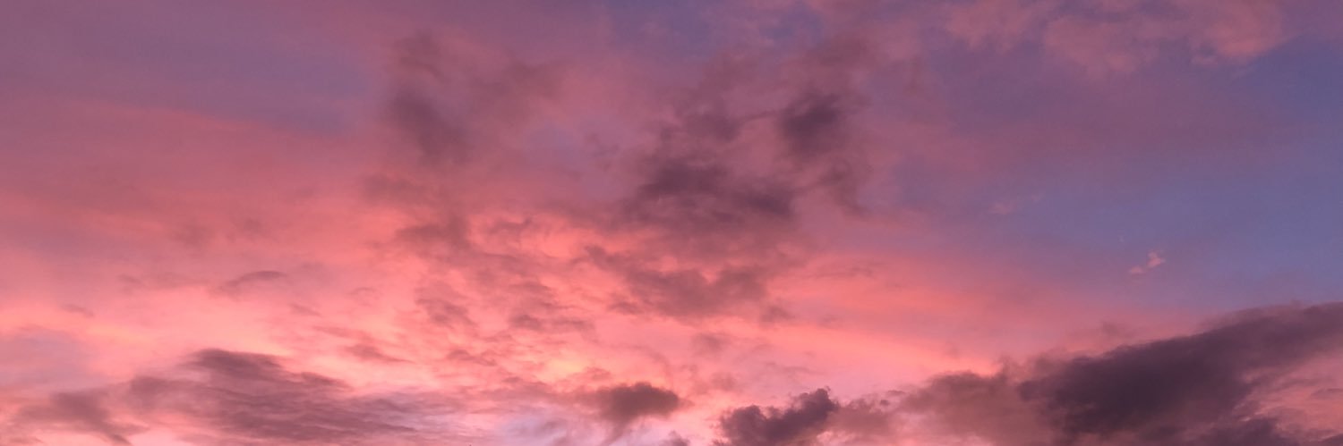 Reeseypea's profile banner image