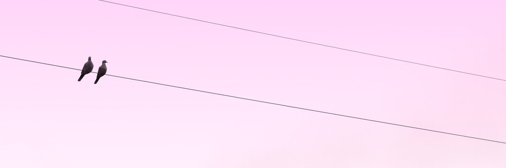 Natalie Abel-Wais banner
