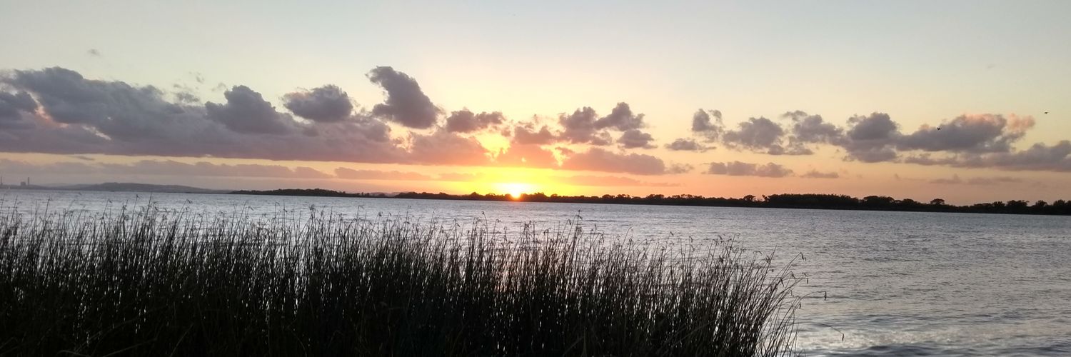 rmredin's profile banner image