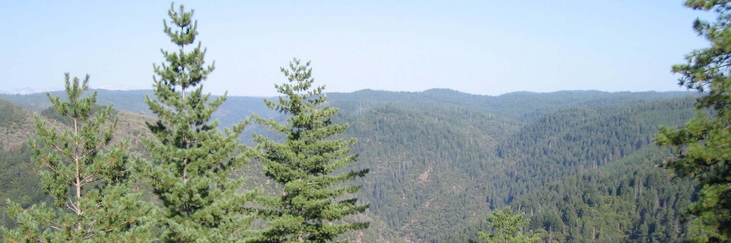 dewayne's profile banner image