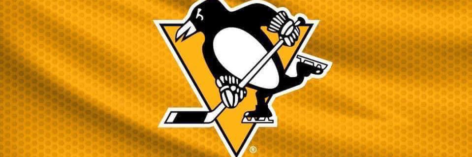 AngryNHLFansPgh's profile banner image