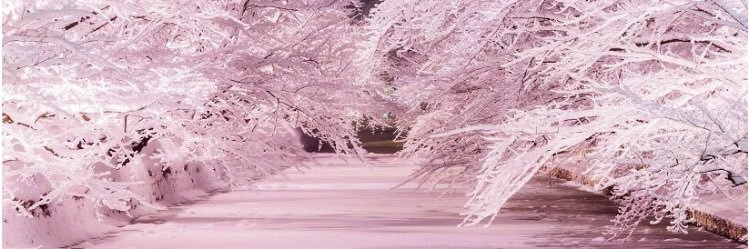 homomaro01's profile banner image