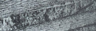 eli_klimko's profile banner image
