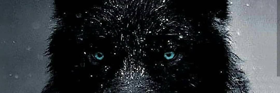 3amoor69's profile banner image