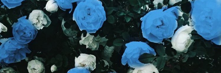 skipv_'s profile banner image