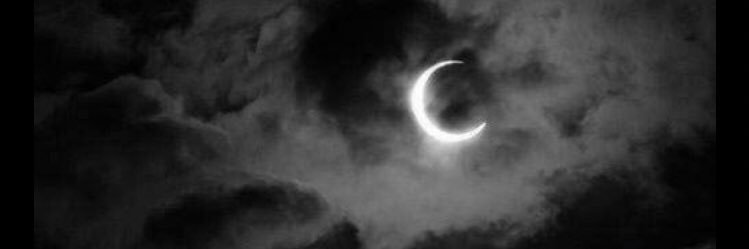 RebRose13's profile banner image