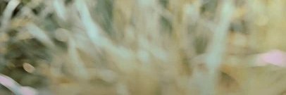 wunspun's profile banner image
