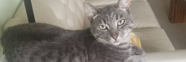 ESMathTeacher Profile Banner