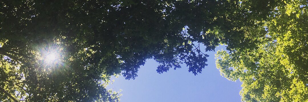 rrgdancer's profile banner image