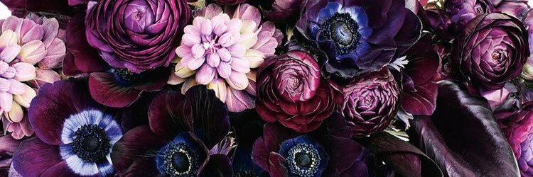 jesannnne's profile banner image
