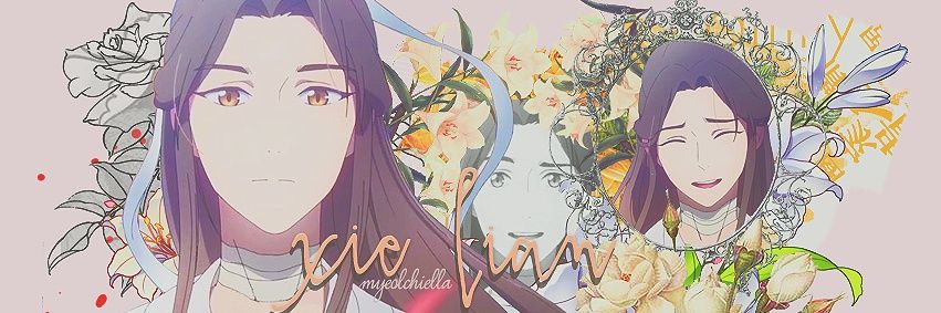 myeolchiella's profile banner image