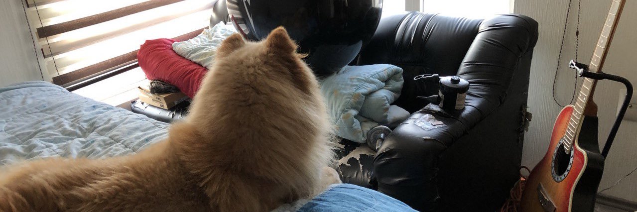 M𝛑. Blonde  banner