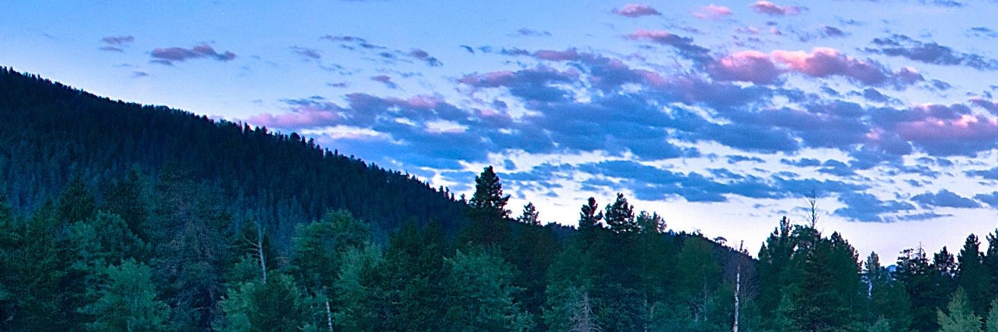 61Isabel_'s profile banner image