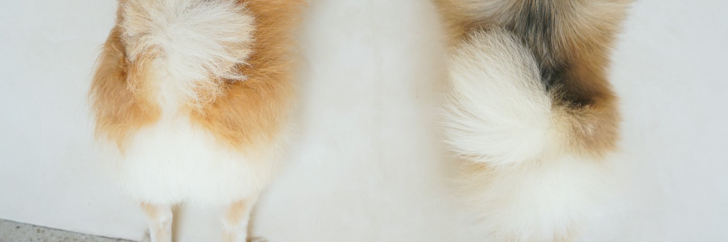 TigerNug's profile banner image