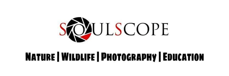 Team_SoulScope's profile banner image