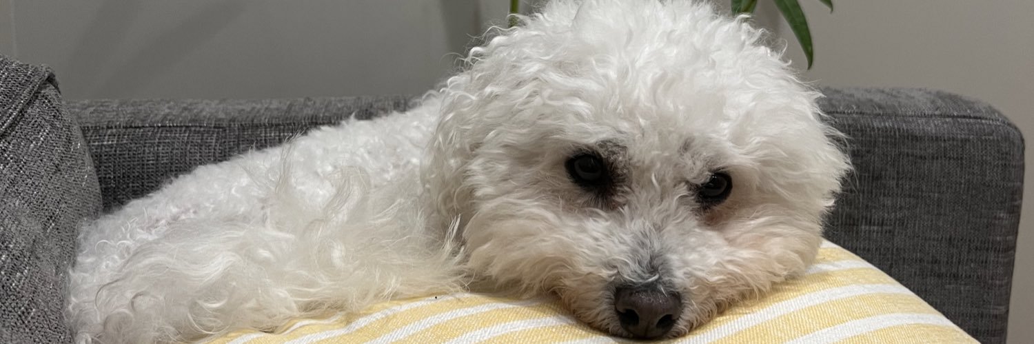 tiffxc's profile banner image