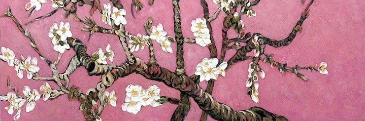 alymichelle__'s profile banner image