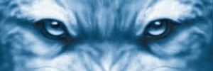 mark15401's profile banner image