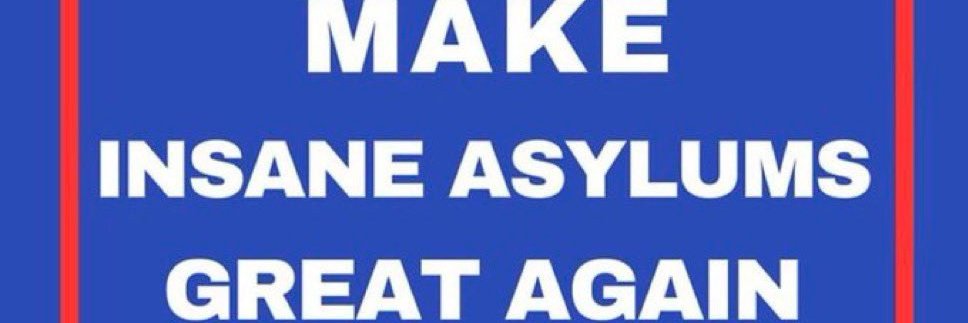 RMV ALL ILLEGALS FROM SNAP, VOTER ROLLS✡️🚯🚭♻️🚮 banner