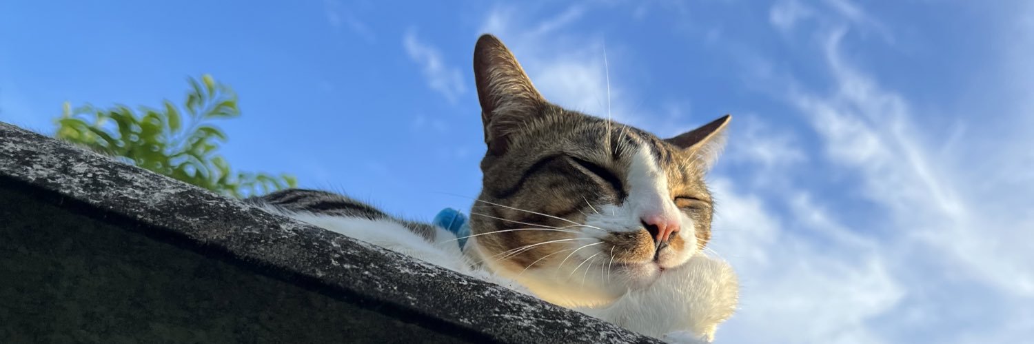 nans_nan's profile banner image